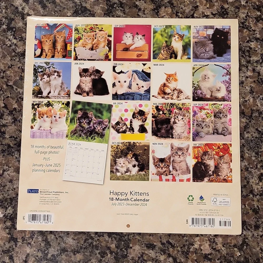 Happy Kittens full page each month 18 month calendar new sealed July 2023-Decemb